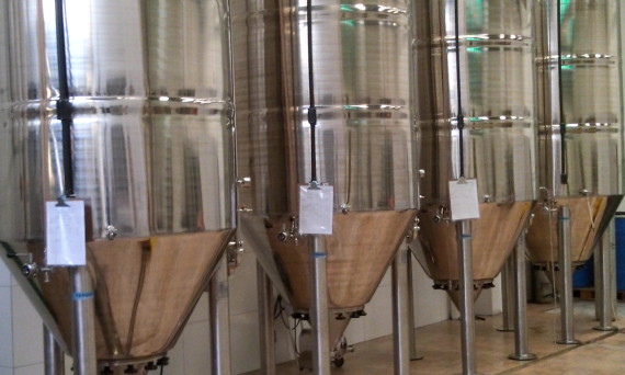 Tanque de Maturação / Fermentação